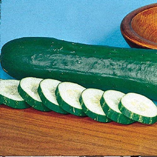 Park Seed Cucumber Tasty Green Hybrid Pack of 30 Seeds