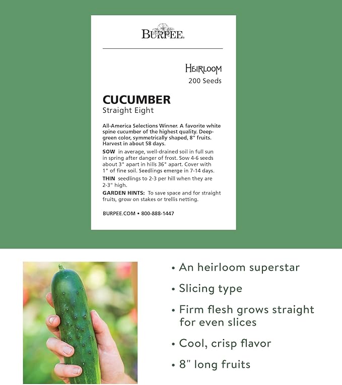 Burpee Straight Eight Slicing Cucumber 200 Seeds and Blue Lake 274 Bush Bean 2 oz Seeds Vegetable Garden Bundle