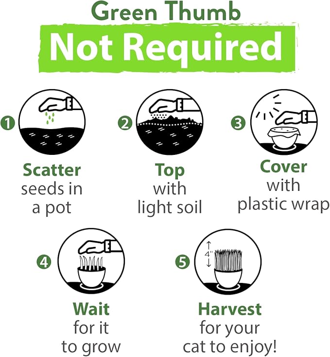 HOME GROWN 4oz Cat Grass Seeds - Oat Seeds & Barley Seeds Mix - Keep Your Pet Healthy with Cat Grass for Indoor Cats - Cat Grass Seeds Bulk - Refill Cat Grass Growing Kit - 100% Non-GMO