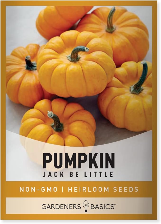 Mini Pumpkin Seeds for Planting (Jack Be Little) Small Heirloom, Non-GMO Vegetable Variety-5 Grams Seeds Great for Summer Pumpkin Gardens by Gardeners Basics