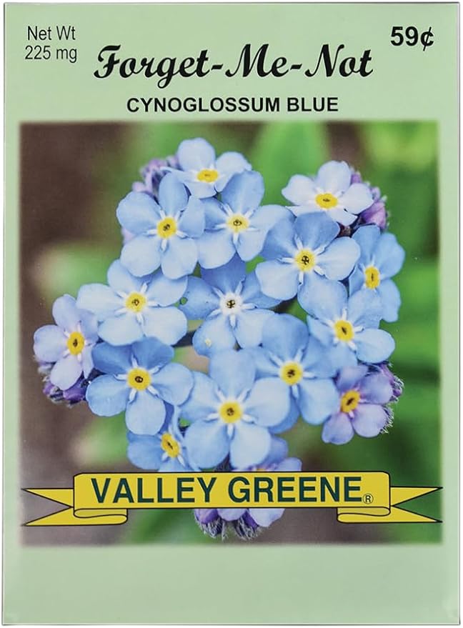 Set of 100 Forget Me Not Valley Green Flower Seed Packets! Flower Seeds in Bulk - Forget Me Nots