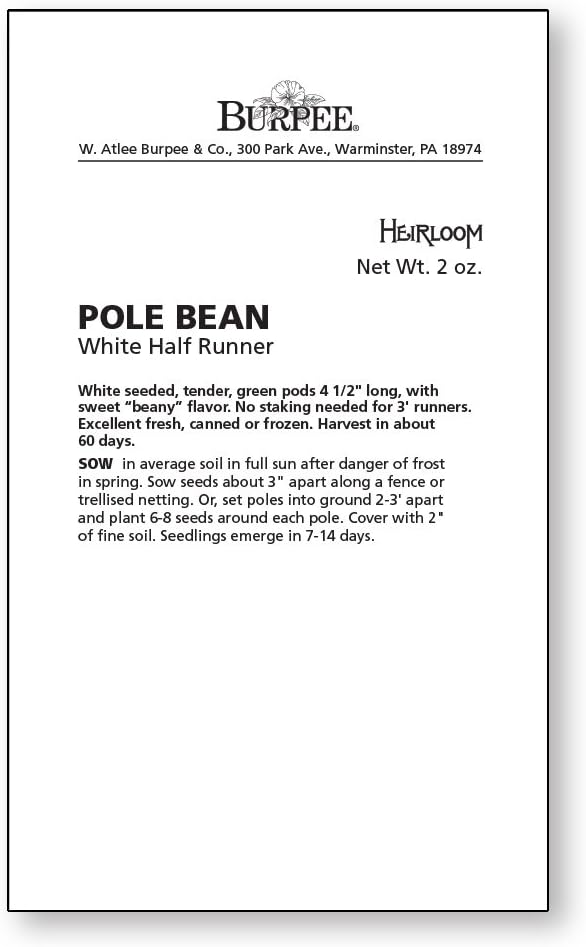 Burpee White Half Runner Pole Bean Seeds 2 ounces of seed