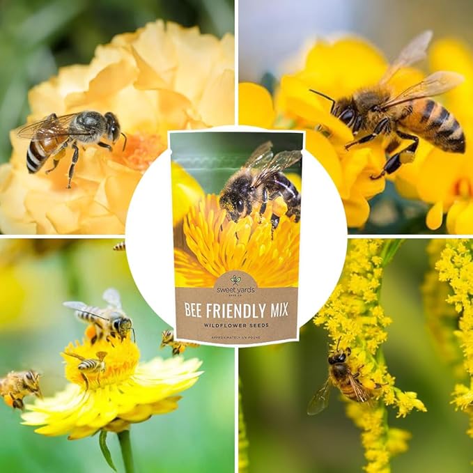 Bee Friendly Wildflower Seed Mix - Bulk 1/4 Pound Bag - Over 30,000 Open Pollinated Seeds - 100% Pure Live Seed - Save The Bees!