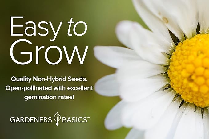 Gardeners Basics, Daisy Seeds for Planting Outdoors Flower Seeds (3 Variety Pack) Alaska Shasta Daisy, Painted Daisy, Yellow Daisy Varieties for Butterflies, Bees, Pollinators Wildflower Seed
