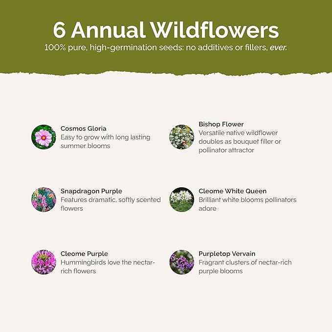 Eden Brothers Vintage Lace Flower Mixed Seeds for Planting, 1/4 lb, 120,000+ Seeds with Cosmos Gloria, Bishop's Flower, Snapdragon, Attracts Pollinators, Plant in Spring, Zones 3, 4, 5, 6, 7, 8, 9, 10