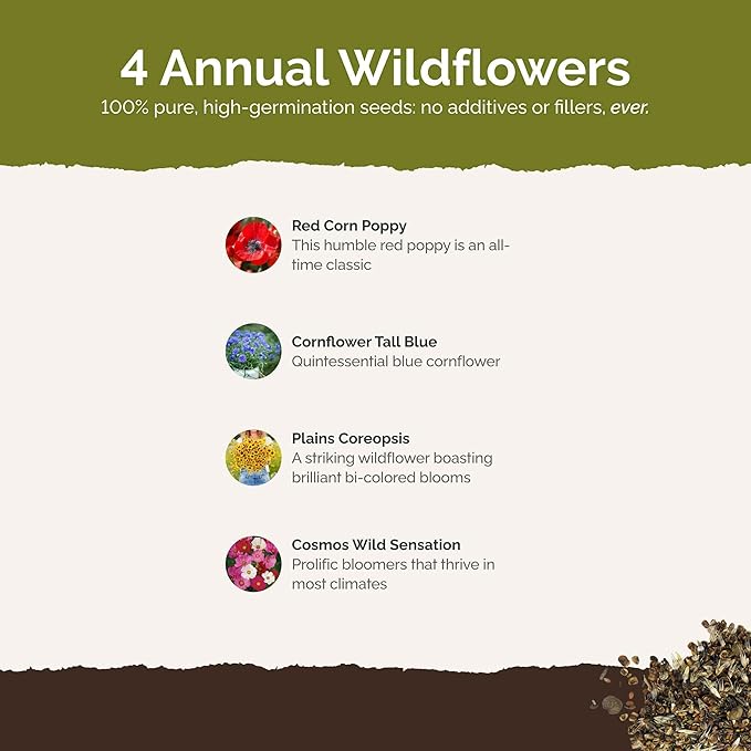 Eden Brothers Endless Summer Annual Succession Flower Mixed Seeds for Planting, 1 lb, 480,000+ Seeds with Cosmos | Attracts Pollinators, Plant in Spring or Fall, Zones 3, 4, 5, 6, 7, 8, 9, 10