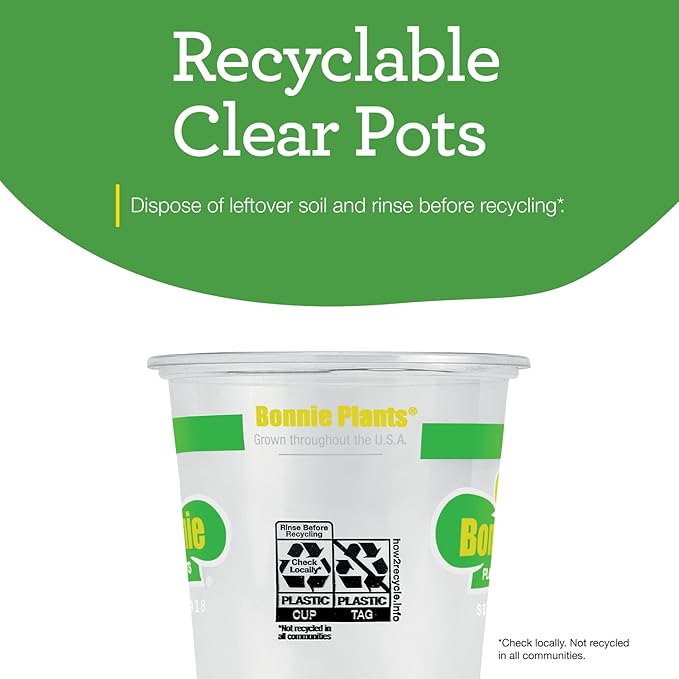 Bonnie Plants Lemon Balm Live Herb Plants - 4 Pack, Perennial In Zones 5 to 9, For Lemon Flavor In A Variety Of Dishes & Teas