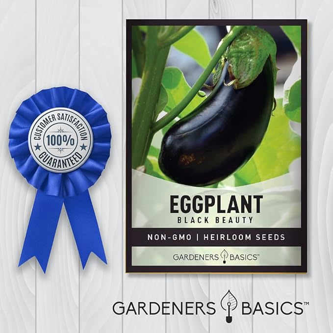 Gardeners Basics, Eggplant Seeds for Planting - Black Beauty Solanum melongena is A Great Heirloom, Non-GMO Vegetable Variety- 300 mg Seeds Great for Outdoor Spring, Winter and Fall Gardening