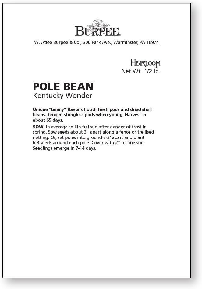 Burpee Kentucky Wonder Pole Bean Seeds 8 ounces of seed