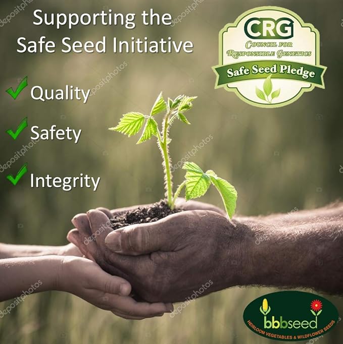 Drought Tolerant Wildflower Seeds - 4oz, Open-Pollinated Bulk Flower Seed Mix for Beautiful Perennial, Annual Garden Flowers - No Fillers - 4 oz Packet