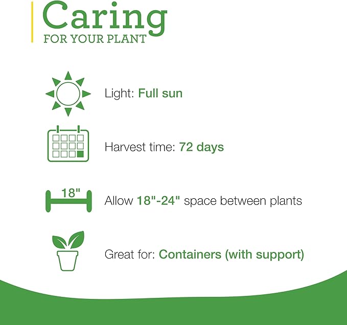 Bonnie Plants Jalapeno Pepper Plug, Live Plant, A Popular Chile Pepper, Full Sun, 3 Cubic in., 6 Pack