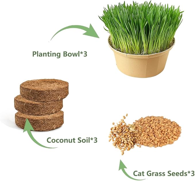 Cat Grass for Indoor Cats - Cat Grass Seeds Kit - Organic Cat Grass Growing Kit with High Germination Organic Wheat Seeds, Soil, and Planting Tools - Natural Hairball Control and Digestion Remedy