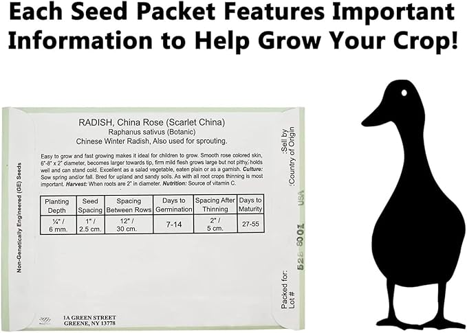 Set of 50 Forget Me Not Valley Green Flower Seed Packets! Flower Seeds in Bulk - Forget Me Nots