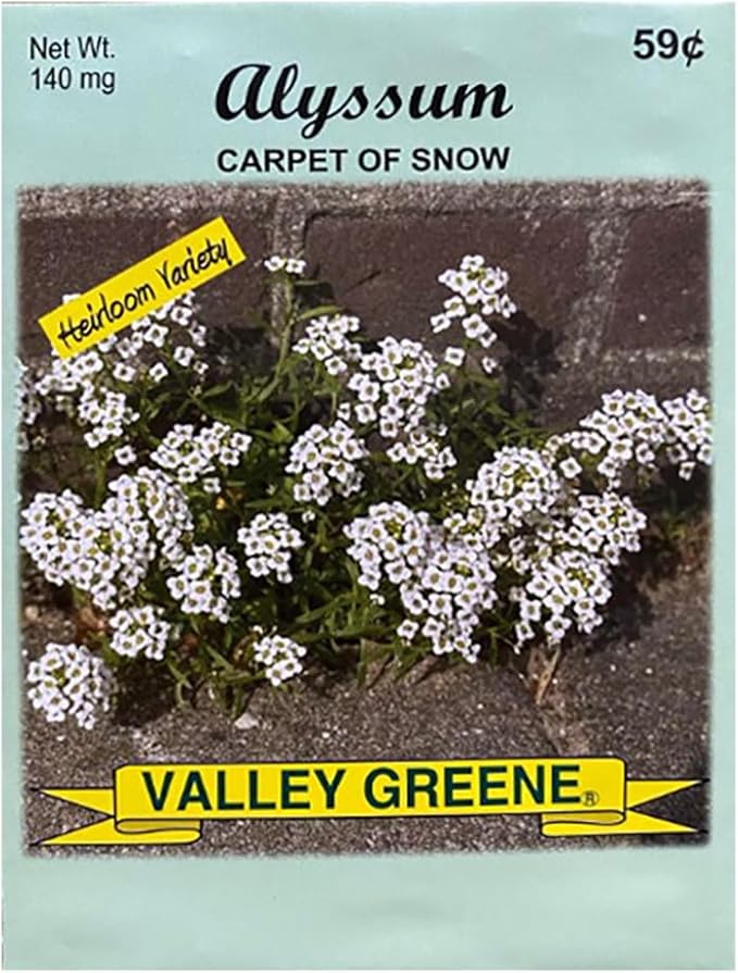 Set of Flower Seed Packets! Flower Seeds in Bulk - Great for Creating The Garden of Your Dreams! (50, Alyssum)