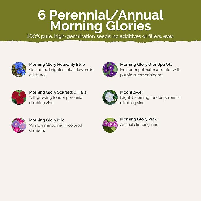 Eden Brothers Top O The Morning Flower Mixed Seeds for Planting, 5 lb, 2,400,000+ Seeds with Morning Glory, Moonflower | Attracts Pollinators, Plant in Spring or Fall, Zones 3, 4, 5, 6, 7, 8, 9, 10