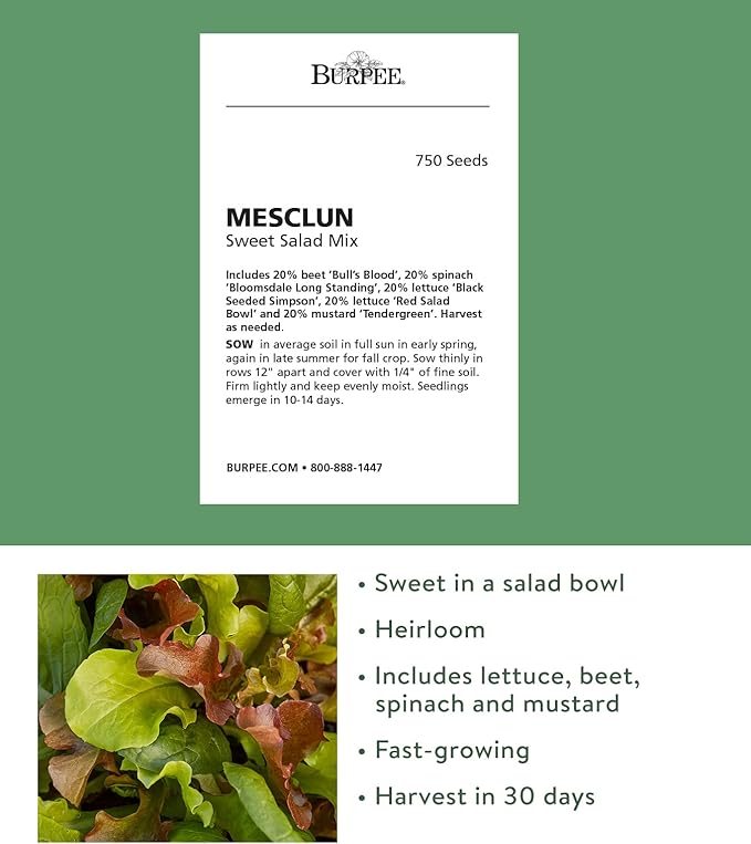Burpee Sweet Salad Mix Mesclun Seeds 750 seeds