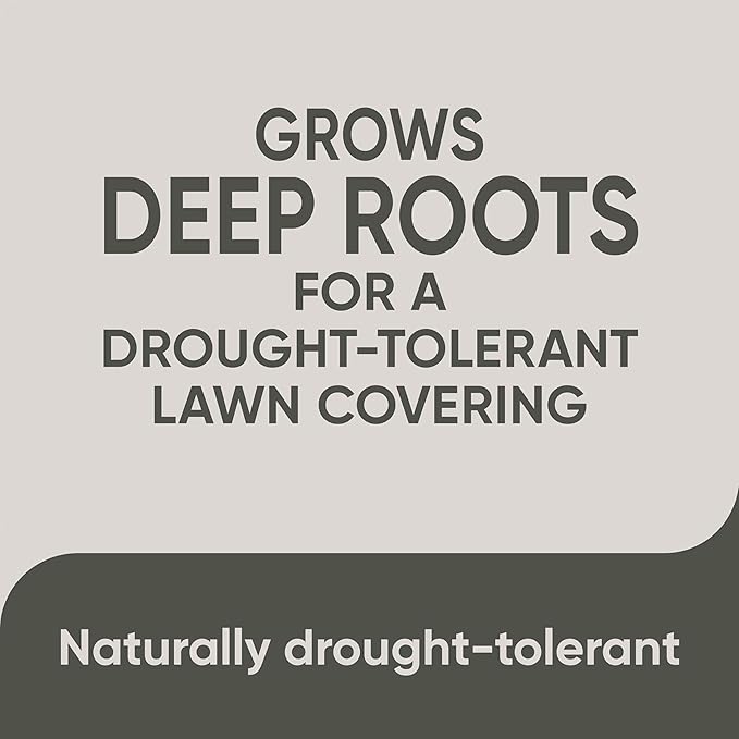 Scotts Pursue Blue Grama with Natural Seed, Seeding for Large Areas, 1 lb.