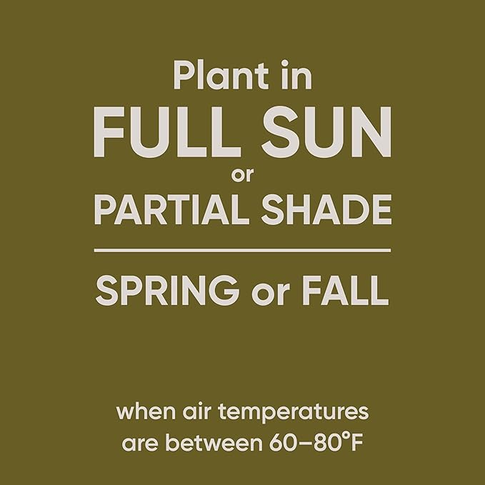 Scotts Pursue Sheep Fescue with Natural Seed, Seeding for Large Areas, 2 lbs. (Pack of 3)