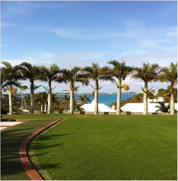 Brownie Brand Majestic Hulled Bermudagrass Seed | Premium Turf Grass for Dense, Drought-Resistant Lawns | Fast-Growing, Heat-Tolerant, Certified Seed for High-Traffic Areas. (25 Pound)