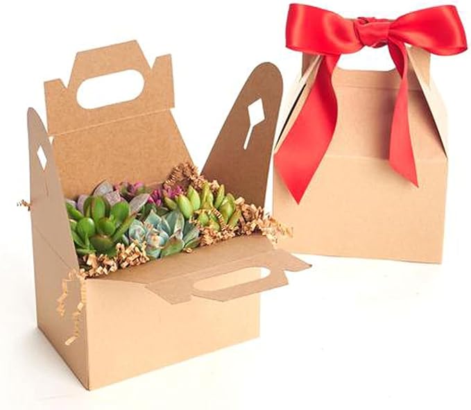 Shop Succulents Unique Succulent Gift Pack Collection - Live Mini Succulent Plants, Low Maintenance, Exceptional Colors & Textures - Wedding and Party Favors, Gift & Garden, Pack of 6