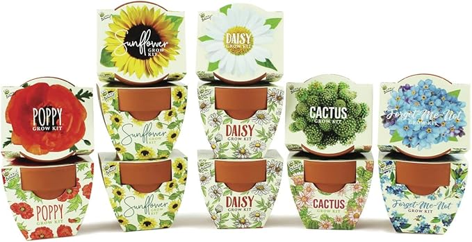 Buzzy Seeds Terracotta Mini Grow Pots | Herb, Plant, Flower Starter Kit for Kids & Adults | Assorted 12-Pack, Daydream Collection | Guaranteed to Grow | Best Indoor-Outdoor Gardening Gift