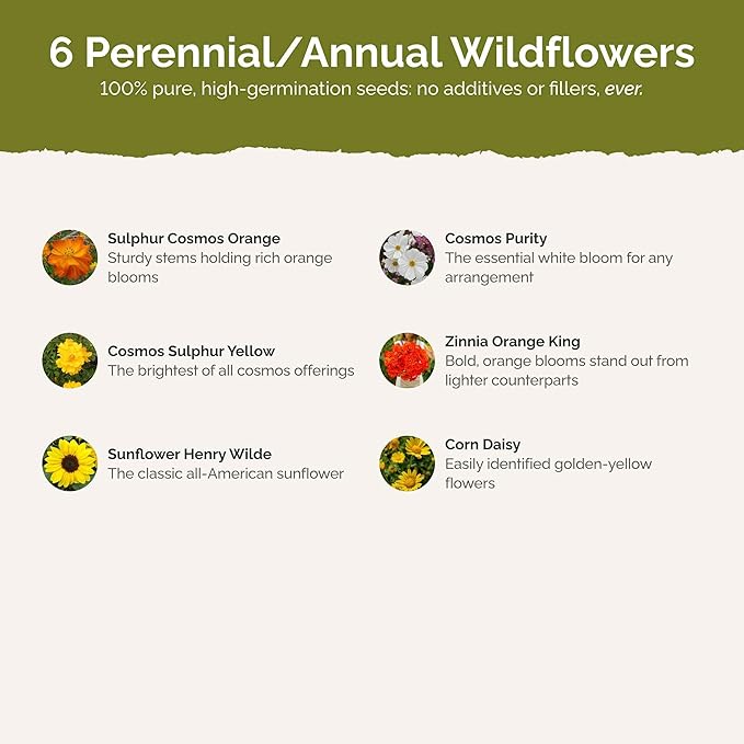 Eden Brothers Sunset Flower Mixed Seeds for Planting, 1 lb, 480,000+ Seeds with Cosmos, Zinnia, Sunflower, Corn Marigold | Attracts Pollinators, Plant in Spring or Fall, Zones 3, 4, 5, 6, 7, 8, 9, 10