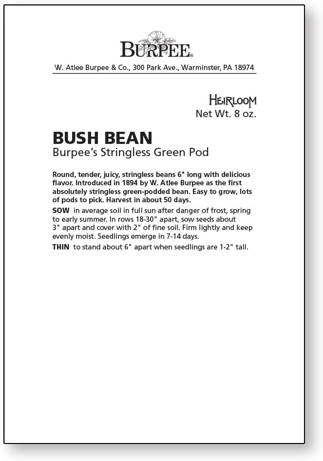 Burpee Stringless Green Pod Bush Bean Seeds 8 ounces of seed