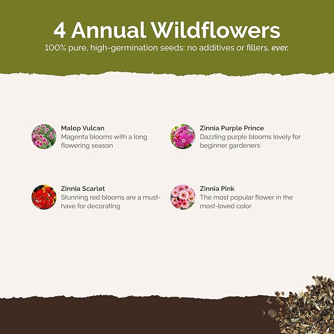 Eden Brothers Cupid's Flower Seed Mixed Seeds for Planting, 1 lb, 480,000+ Seeds with Malop Vulcan, Zinnia | Attracts Pollinators, Plant in Spring, Zones 2, 3, 4, 5, 6, 7, 8, 9, 10