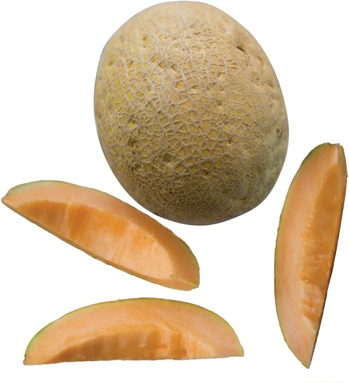 Burpee Aphrodite Cantaloupe Melon Seeds 25 seeds
