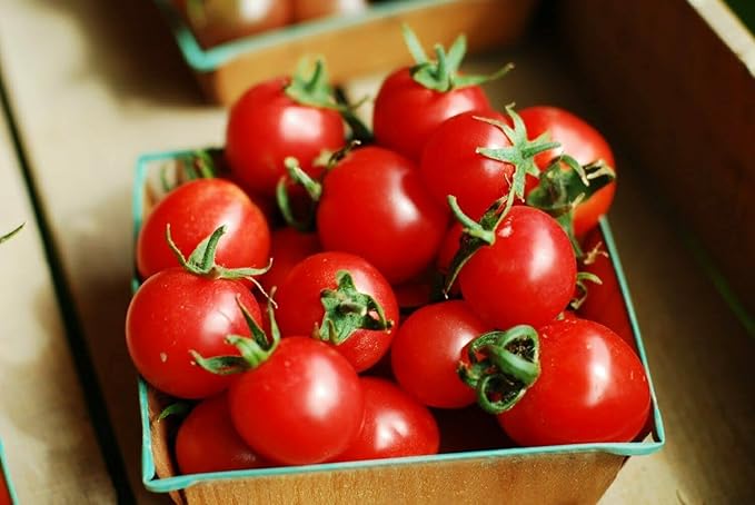 100 Seeds Indoor Cherry Tomato Dwarf Red and Yellow Tomato Rare Vegetable Heirloom Seeds