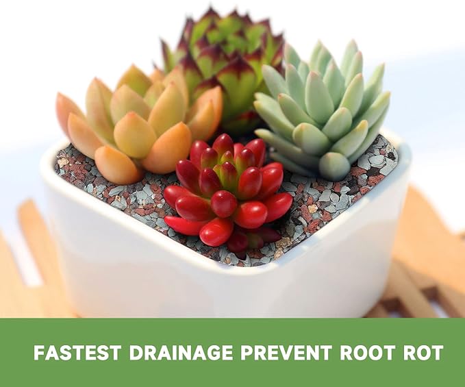 Enhance Your Plant's Growth with Our 2.5lb Premium Horticultural Gritty Mix Lava Rock Pebbles Maifanitum Potting Soil Amendment -Perfect for Succulents, Cactus, Bonsai, Terrariums, and Fairy Gardening