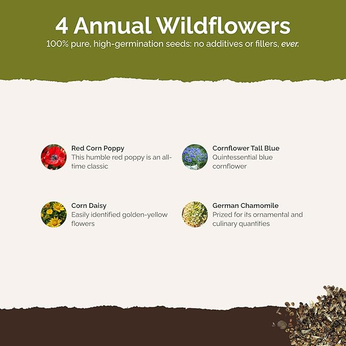 Eden Brothers Back to Basics Flower Mixed Seeds for Planting, 1/4 lb, 120,000+ Seeds with Cornflower Tall Blue, Corn Daisy, Attracts Pollinators, Plant in Spring or Fall, Zones 3, 4, 5, 6, 7, 8, 9, 10