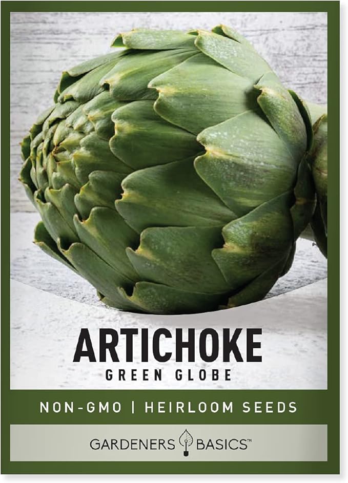 Gardeners Basics, Artichoke Seeds for Planting - Green Globe Non-GMO Perennial Vegetable Variety- 3 Grams Seeds Great for Summer Gardens