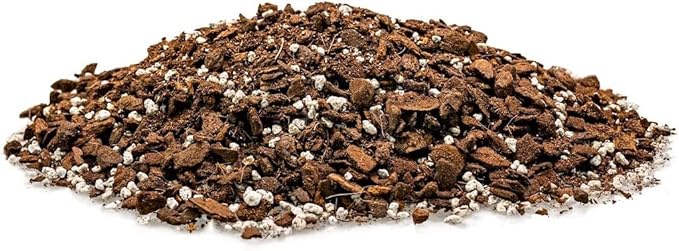 Premium Monstera Karstenianum Planting Mix - Promotes Steady Growth and Lush Foliage for Monstera Peru Plants - 1 Quant