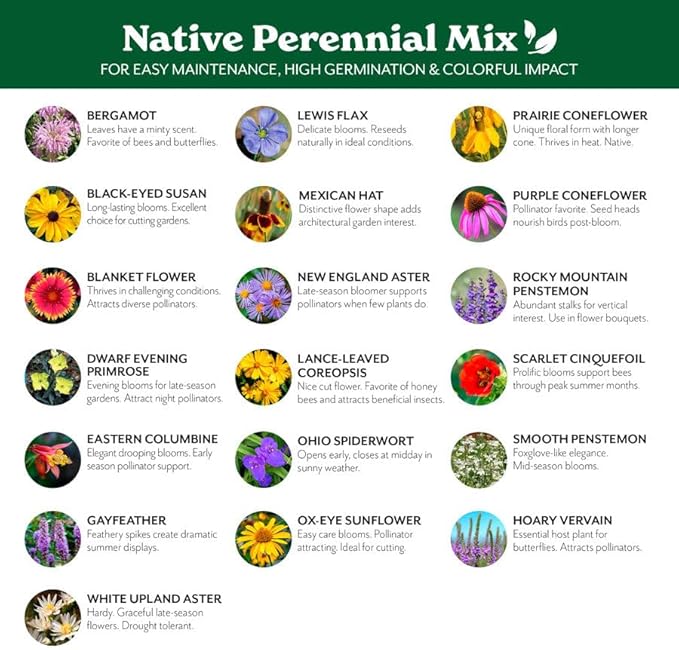 Grow Your Own Vibrant Annual and Perennial Wild Flower Garden Seeds Mixture, Varieties for Pollinators and Spring Gardens - Native Perennial Mix, 1/4 lb