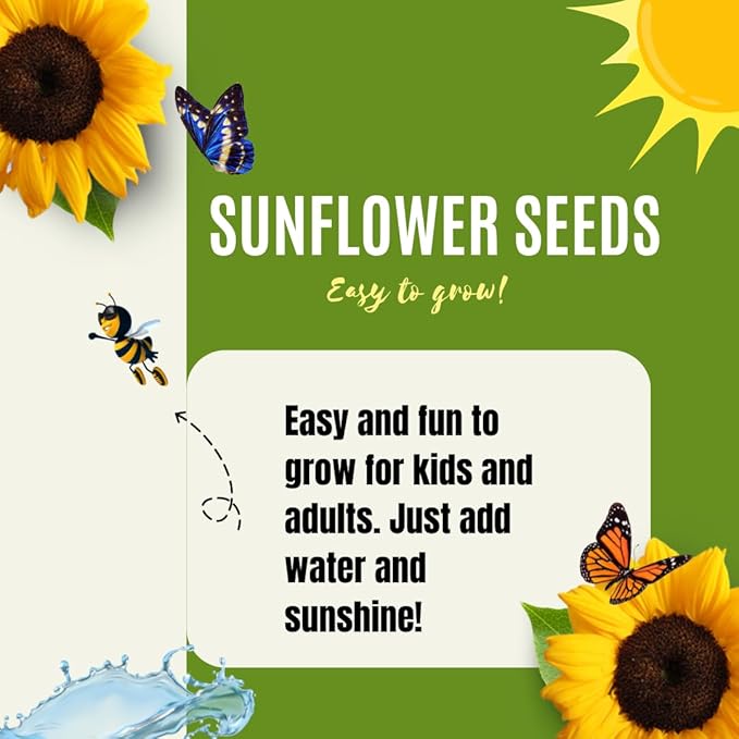 Dwarf Sunflower Seeds for Planting