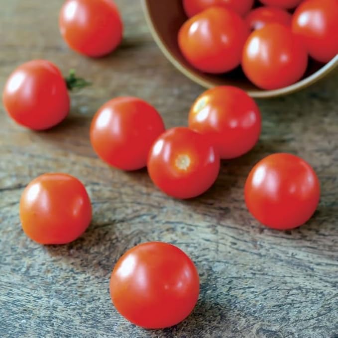 Park Seed Variety of Tomato Vegetable Seeds, Plant Seeds, Easy to Grow, Perfect for Harvesting, Supersweet 100 Hybrid, Pack of 1000