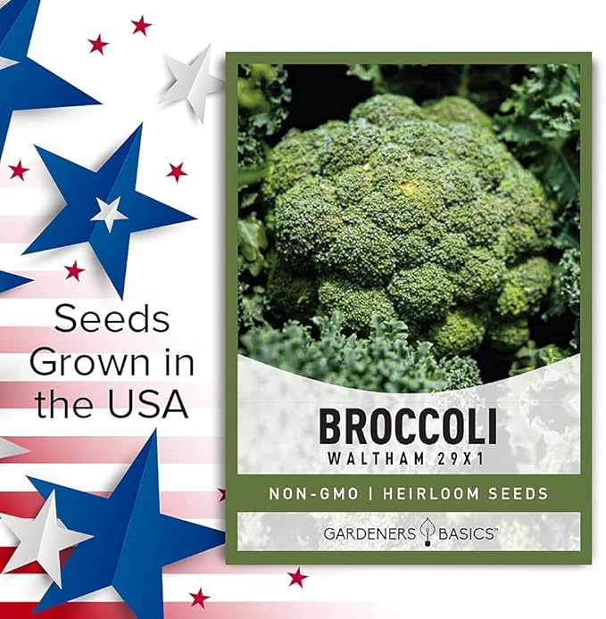 Gardeners Basics, Broccoli Seeds for Planting is A Great Heirloom, Non-GMO Vegetable Variety- 1 Gram Seeds Great for Outdoor Spring, Winter, and Fall Gardening