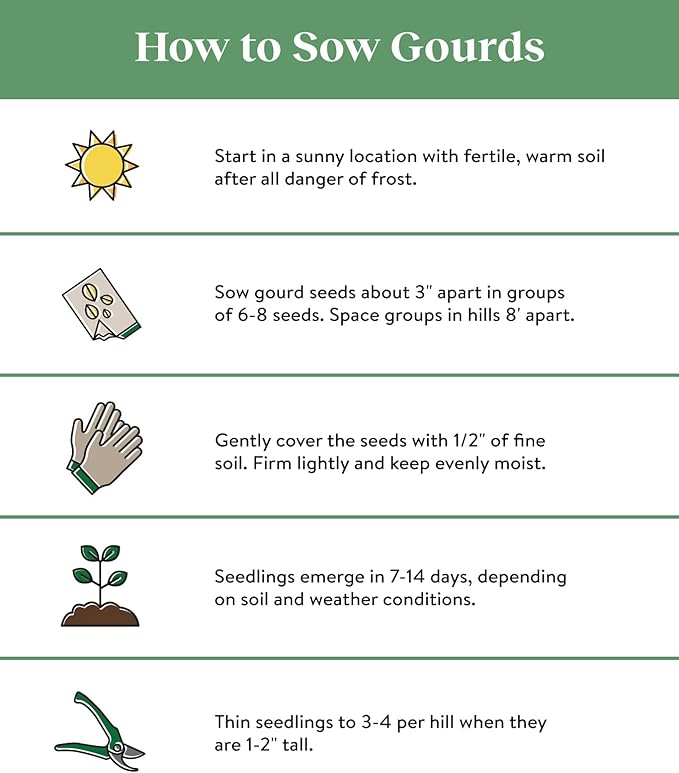 Burpee Ornamental Luffa Gourd Seeds 25 seeds