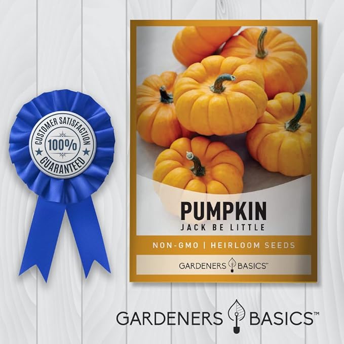 Mini Pumpkin Seeds for Planting (Jack Be Little) Small Heirloom, Non-GMO Vegetable Variety-5 Grams Seeds Great for Summer Pumpkin Gardens by Gardeners Basics
