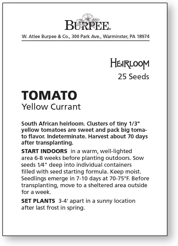 Burpee 'Yellow Currant', Yellow Sweet Cherry Tomato, 30 Non-GMO Seeds