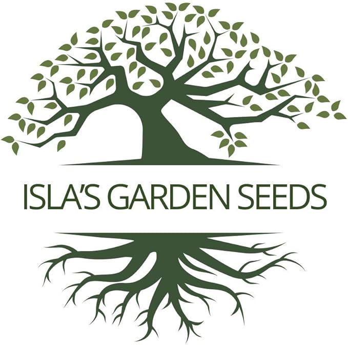 Burpee Stringless Green Bean Seeds for Planting, 50+ Heirloom Seeds Per Packet, (Isla's Garden Seeds), Non GMO Seeds, Botanical Name: Phaseolus vulgaris, 85% Germination Rates, Great Home Garden Gift