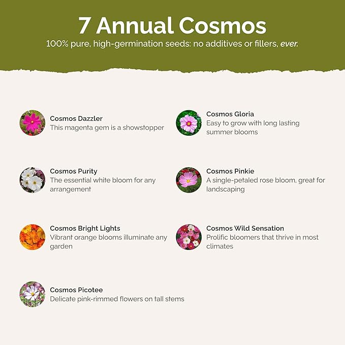 Eden Brothers Crazy for Cosmos Flower Mixed Seeds for Planting, 10 lb, 4,800,000+ Seeds with Cosmos Gloria, Pinkie, Purity, Attracts Pollinators, Plant in Spring or Fall, Zones 3, 4, 5, 6, 7, 8, 9, 10
