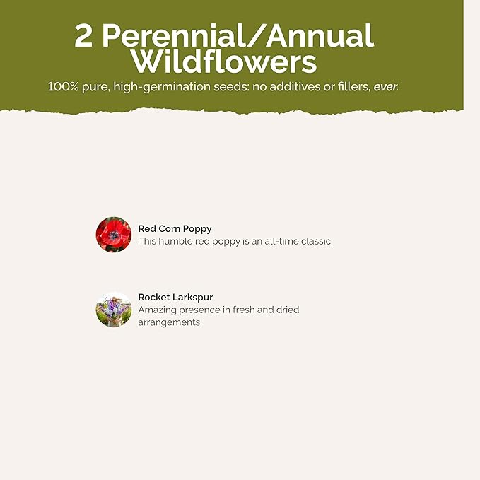 Eden Brothers Power Couple Flower Mixed Seeds for Planting, 1 lb, 480,000+ Seeds with Rocket Larkspur, Bupleurum | Attracts Pollinators, Plant in Spring or Fall, Zones 3, 4, 5, 6, 7, 8, 9, 10