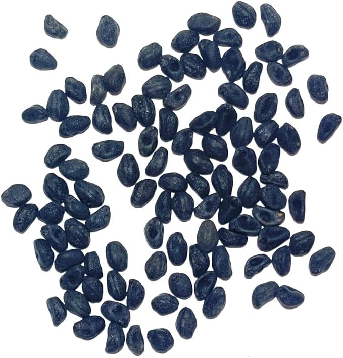 Seed Needs, Cardinal Climber Seeds - 100 Heirloom Seeds for Planting Ipomea Quamoclit - Open Pollinated & Untreated, Attracts Pollinators (2 Packs)