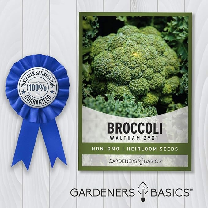 Gardeners Basics, Broccoli Seeds for Planting is A Great Heirloom, Non-GMO Vegetable Variety- 1 Gram Seeds Great for Outdoor Spring, Winter, and Fall Gardening
