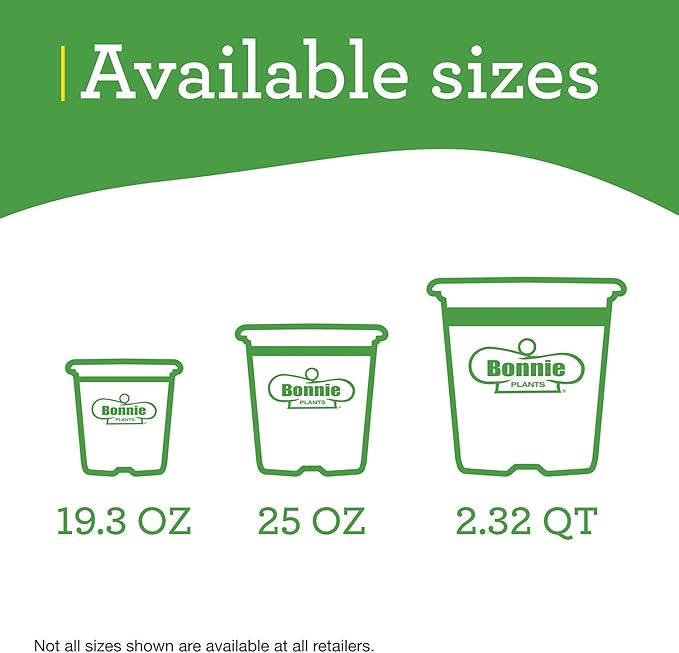 Bonnie Plants Red Bell Pepper Live Vegetable Plants - 4 Pack, Non-GMO, 2 - 3 Ft Plants, 4.5 x 4 Inch Pepper Size