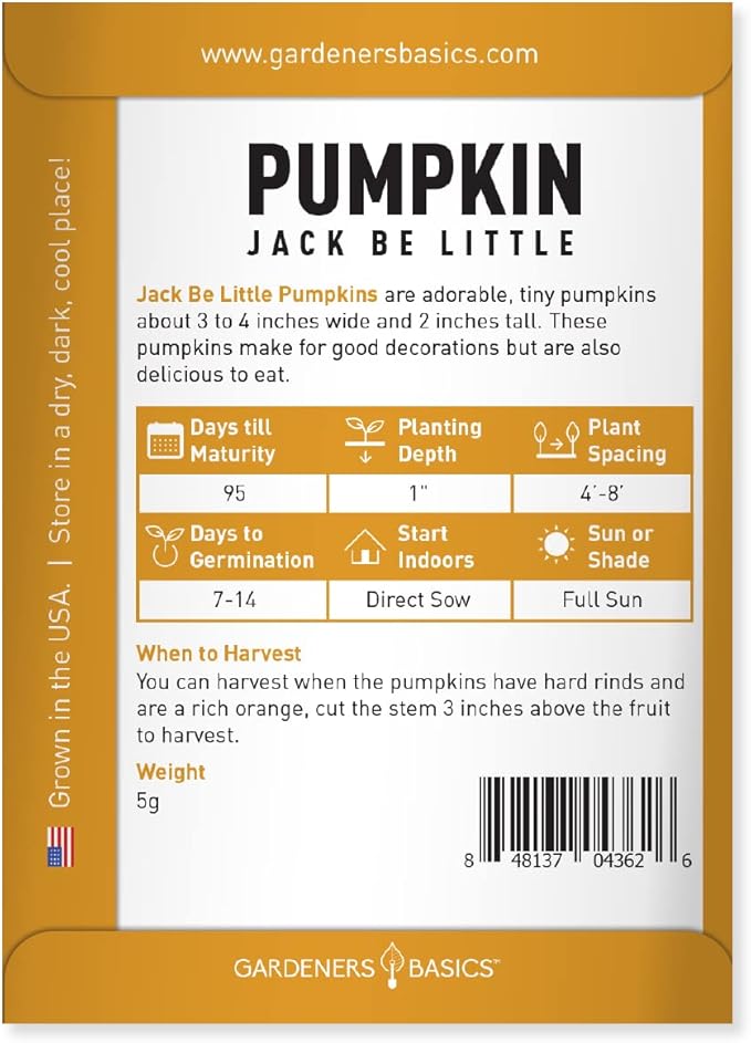 Mini Pumpkin Seeds for Planting (Jack Be Little) Small Heirloom, Non-GMO Vegetable Variety-5 Grams Seeds Great for Summer Pumpkin Gardens by Gardeners Basics
