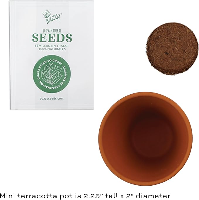 BUZZY Seeds Terracotta Mini Grow Pots | Herb, Plant, Flower Starter Kit for Kids & Adults | Assorted 12-Pack, Daydream Collection Sunflower | Guaranteed to Grow | Best Indoor Grow Your Own Plant