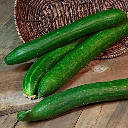 Park Seed Cucumber Tasty Green Hybrid Pack of 30 Seeds